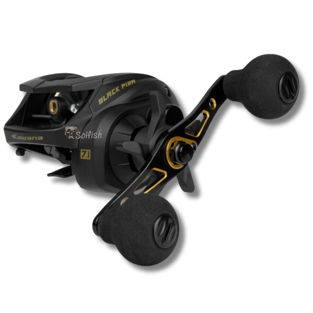 Carretilha Black Pira 400 BG 11 Rolamentos Drag 18kg Para Pesqueiro em  Carbono Promoção