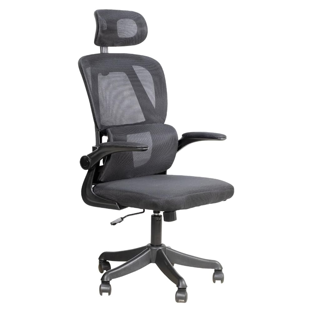 Cadeira Escritório Ergonômica Giratória Apoio Braços e Lombar Syberflex