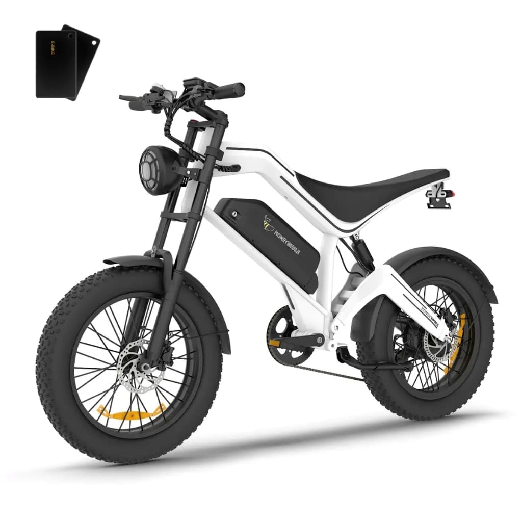 Bicicleta Elétrica Adulto Honeywhale K6 Pro 850W 62km de Autonomia, 55 km/h Velocidade-Máx, Bateria Removível 48V 15,6Ah