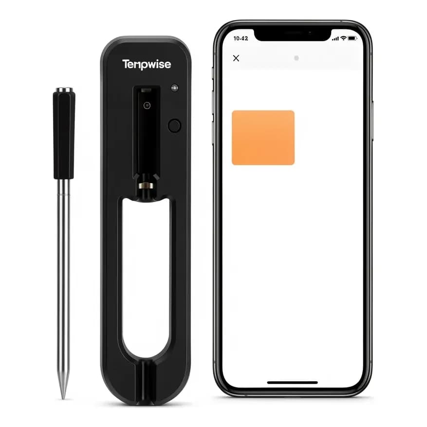 Termometro Culinário Espeto Sem Fio Bluetooth Carne Preto