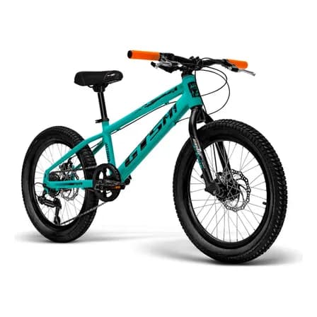 Bicicleta Infantil Aro 20 Câmbio Shimano Disco 7v Gts Mtb20