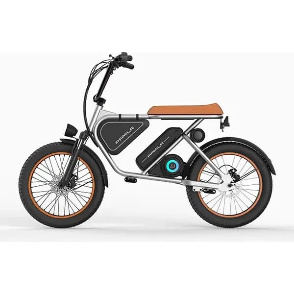 Bicicleta Elétrica 1000w 3 Modos 40km/h Sem Pedal Adulto Prateado 20