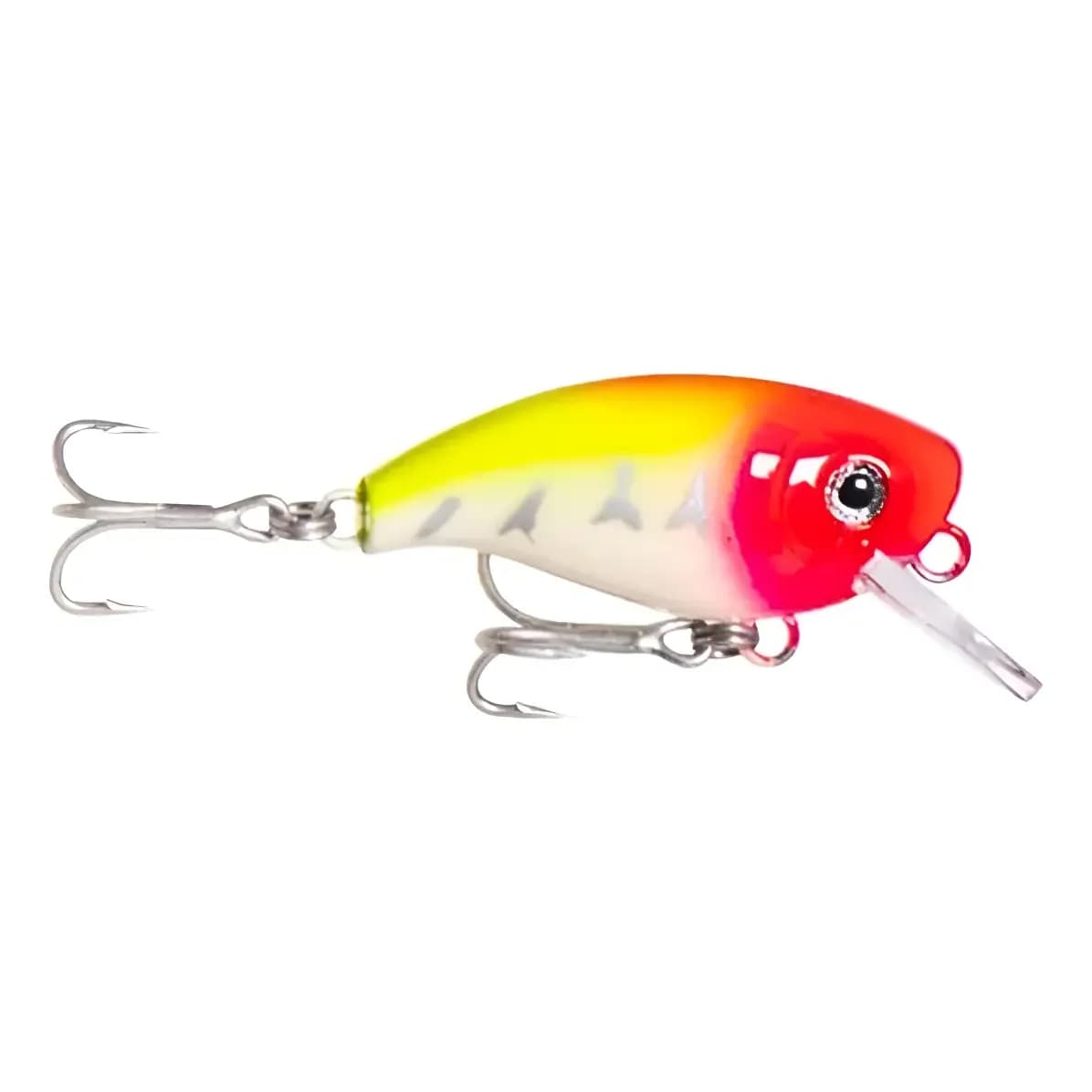 Nelson Nakamura Xodó 4.5cm